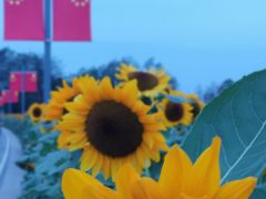 -中国天府农业博览园