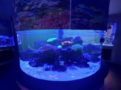 -上和臻品中国菜(花园街店)