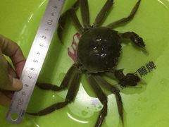 -丫丫蟹庄·苏式园林农家乐·阳澄湖大闸蟹(阳澄湖莲花岛店)