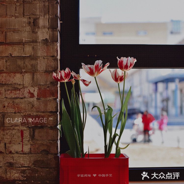 北京咖啡店|捌比特大House十年首店