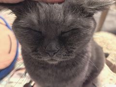 -达爱动物医院·犬猫分区·CT·复杂眼科(远洋山水分院)