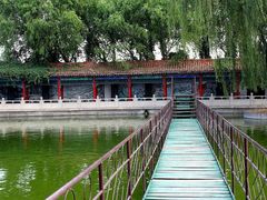 -东方巨龟苑景区