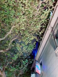 -J Eleven型人坊旗舰店