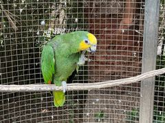 -大连森林动物园