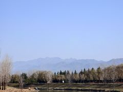 -洨河生态公园