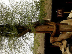 android_upload_pic-少林寺景区
