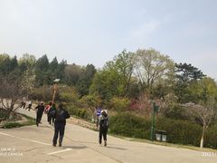 -北京鹫峰国家森林公园
