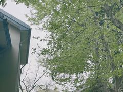-萬國春·中菜馆(颐和公馆店)