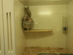 -龙猫仔乐园(惠福东路店)