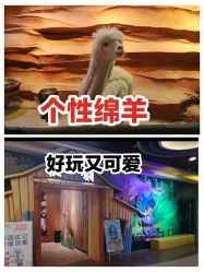 -酷嗒动物文化乐园(cutezoo西溪乐天城店)