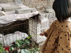 -大自然农场蔬菜草莓采摘园