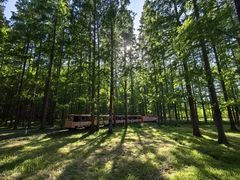 -黄海国家森林公园