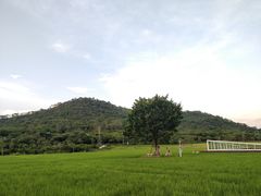 -艾米稻香小镇