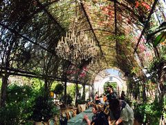 -The Grounds of Alexandria
