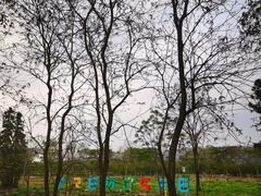 -天适樱花悠乐园