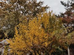 -回龙窝历史文化街区