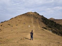 -大姆山草场