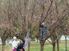 -贵阳市花溪国家城市湿地公园