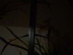 -水润江南尊尚养生馆(城南东路店)