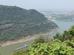 -铁山坪森林公园