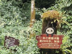 -西岭雪山大飞水景区