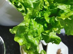 -海花锅盖烧烤店(怡馨家园店)