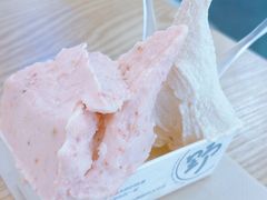 -野人先生Gelato(上海长宁龙之梦店)