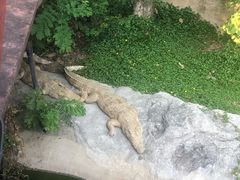 -清迈夜间动物园