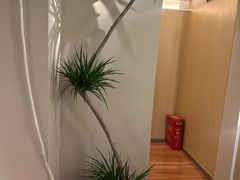 -青曼SPA·按摩·采耳·足道(龙之梦店)