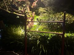 -腾冲洞山温泉村