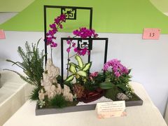 -杭州植物园