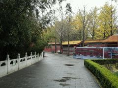 android_upload_pic-景山公园