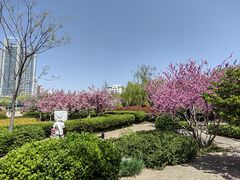 -马濠公园