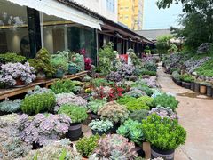 -山菌美食苑(振兴路店)