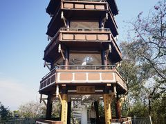 -攀枝花公园