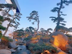 -罗红摄影艺术馆