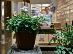 -猫的天空之城概念书店(杭州南宋御街店)