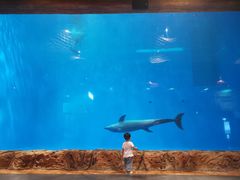 -华夏文旅海洋公园