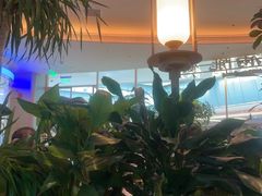 -桂满陇·蟹黄小笼汤包(清河万象店)