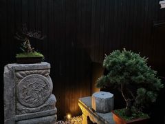 -觀芷隐轩