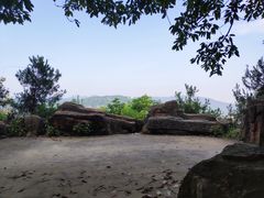 -铁山坪森林公园