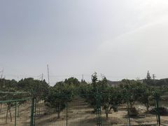 -呼吸森林·生态农庄农家乐私房菜