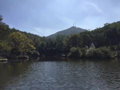 -鲁山国家森林公园