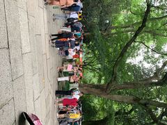 -杭州黄龙洞