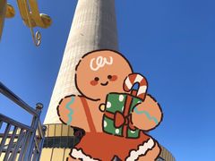 -中央广播电视塔