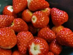 -建德果蔬乐园绪塘草莓基地