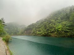 -大奇山国家森林公园