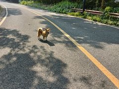-宝界山林公园