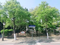 -八大关景区