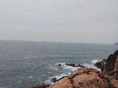 -杨梅坑